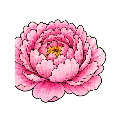 Peony